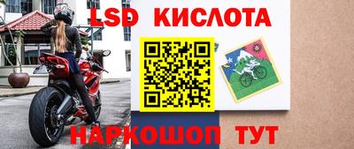 дживик Кандалакша